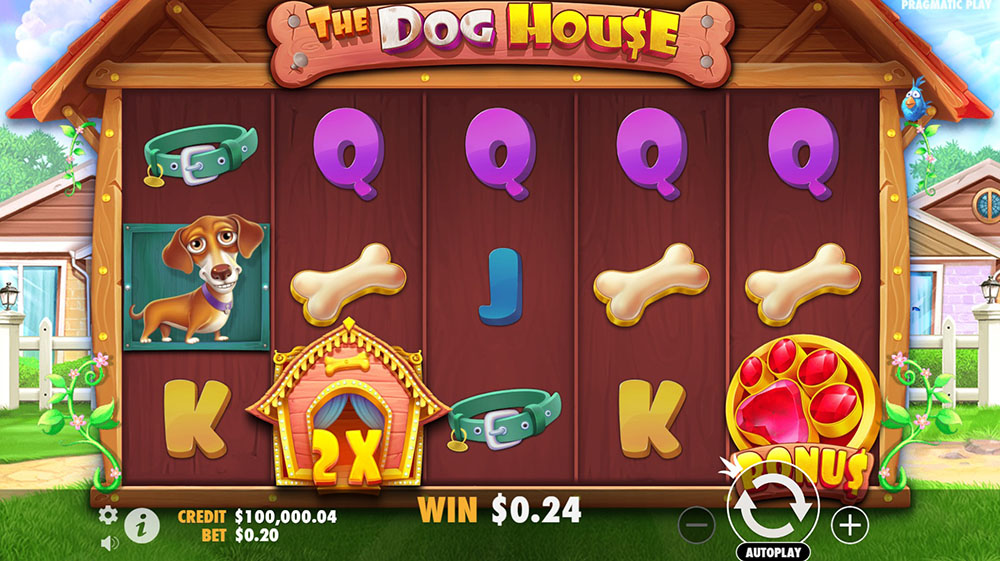 The Dog House