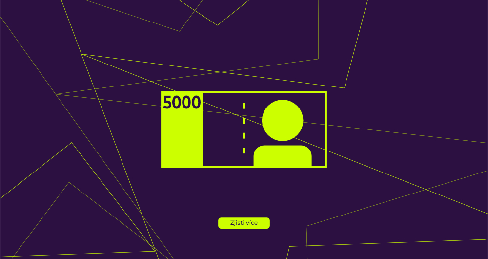 Jak vydělat 5000 Kč denně? _úvodní